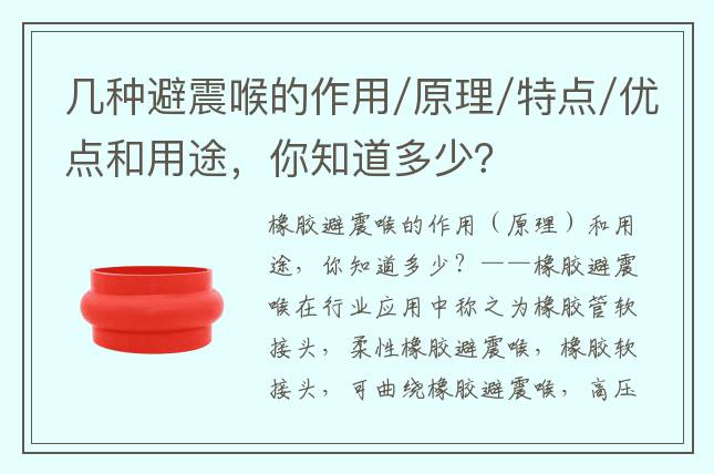 几种避震喉的作用/原理/特点/优点和用途，你知道多少？